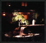 Pond and Waterfall Lighting Pond and Waterfall Lighting